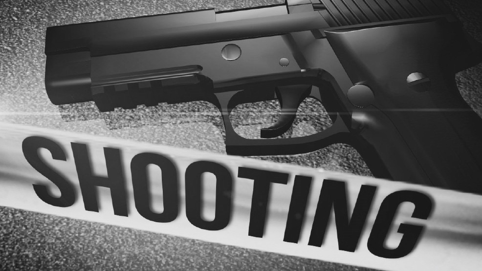Gun Charges, Weapons Offence, Eye Witness and Video Evidence. 